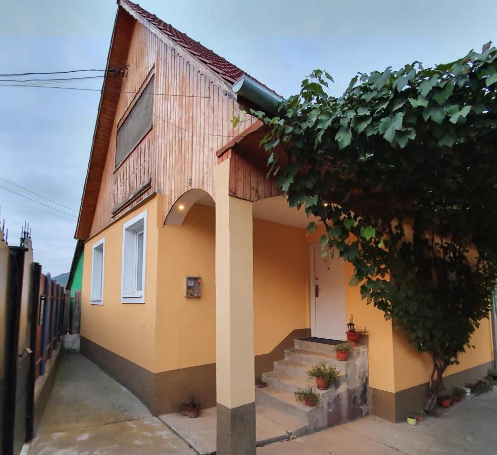 Malancrav Casa Maria 빌라 외부 사진